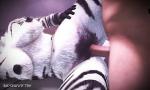 Nonton Bokep Furry P zebra