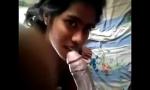 Bokep Desi indian blowjob cumshot