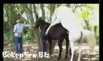 Video Bokep Hot animal hors sex hd 3gp