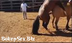 Download Video Bokep sex hors animal hd mp4