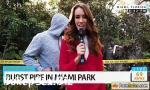 Download Video Bokep Hot news reporter sucks bystanders dick 3gp online