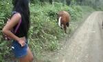 Film Bokep Thai Teen Peru to Ecuador horse cock to creampie 3gp online