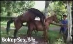 Video Sek sex hors animal 3gp