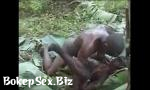 Video Sex Real African Amateur Fuck on Tree, 6969cams 3gp