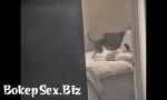 Video Bokep ty Girl Spied gratis