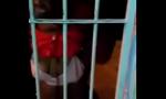 Video Bokep Terbaru Cracuda mostra peitos por 2 reais hot