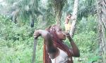Video Bokep I met her in the h fetching firewood while I was h