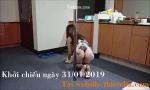 Bokep HD introduce cô hầu gái xinh đẹp - Link  terbaru