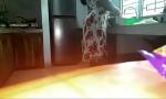 Bokep 2020 Fucked lonely aunty at her home in kitchen gratis