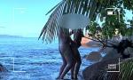 Video Bokep Terbaru voyeur spy nude couple having sex on public beach  3gp online