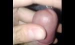 Video Bokep Sabroso pene terbaik