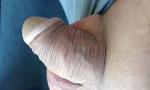 Bokep Hot SHAVED PENIS more on http://www&peri 3gp