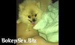 Hot Sex girls4cock *** Peteo — Little Doggie plays w 3gp online