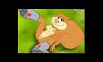 Download Bokep Cartoon sandy cheeks (spongebob)pilation gratis