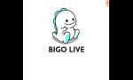 Film Bokep Safadas na Bigo live01 3gp online