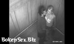 BokepSeks Couple have sex in elevator ot there is a camera 3gp