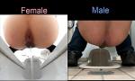 Vidio Bokep Comparison between female pissing and male pissing 2020