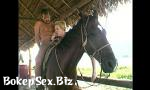 Video Sek Anal horse back ing online