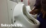 Hot Sex Pajas en Baños de Buenos Aires Vol 9 mp4