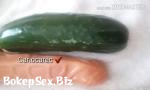 Vidio Sex Loba Gaúcha Com Pepino Gostaria de iniciar no Zoo 3gp online