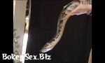 Video Sek naked girl with snake terbaru