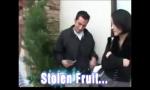 Download vidio Bokep Stolen Fruit (Cheaters) 3gp online