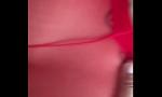 Download vidio Bokep Red Nylon Lingerie Angentina Escort cumshot gratis