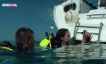 Nonton Film Bokep SUGARBABESTV: Underwater Greek porn gratis