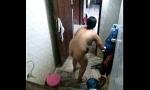 Download Video Bokep Big ass randi indian aunty terbaru