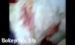 Video Bokep Hot .18歲處女被我搞5 terbaik