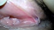 Download Video Bokep Mature hairy pussy mp4