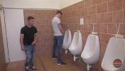 Download Film Bokep Threesome action in public restroom 2022