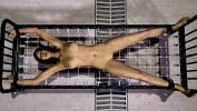 Video Bokep Girl stretched out on a metal cot and electrocuted period This is a 3D animation with no sound period hot