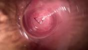 Vidio Bokep Camera inside teen creamy vagina terbaik