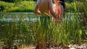 Bokep Sublime girl by the lake sucks me and jumps on my cock like crazy period Triss witch 3gp online