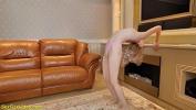 Bokep Full shy skinny blonde stepsister stretching her extreme flexible body for video cam terbaru