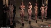 Video Bokep Terbaru Several different slaves Bella Rossi and Cherry Torn and Nerine Mechanique and Sarah Shevon are bound in device with asses exposed then hard whipped by master trainer Peter Acworth hot
