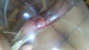 Bokep Baru Masturbando e gozando no cuzinho de camisinha lpar handjob and cum in condom ass rpar online