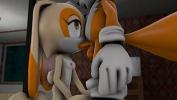 Film Bokep Fox and Bunny from Sonic mp4