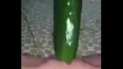 Nonton Film Bokep Cucumber making pussy cum terbaru