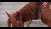 Nonton Film Bokep Chinese hot girl riding horse terbaru 2020