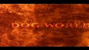 Download Video Bokep Dog World DVD by Thagson dvdtrailertube period com mp4