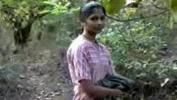 Bokep HD Indian girl fucking in forest terbaru