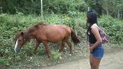 Video Bokep big horse cock tiny young girl cum in pussy terbaru 2020