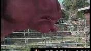 Video Bokep Stupid porn with horse man by Erofail com mp4