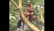 Nonton Video Bokep sexo en el arbol terbaru