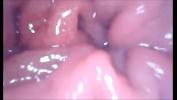 Film Bokep Cock Tip view when enter for anal pussy period 2022