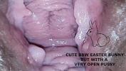 Bokep HD What a cunt of this bbw easter bunny 3gp online