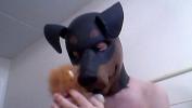 Bokep Hot Kinky Girl gets off wearing a rubber dog mask