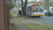Link Bokep SSBBW Bus Stop Pick Up terbaru